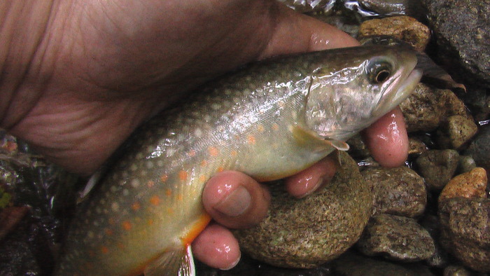 b0208961_111647.jpg