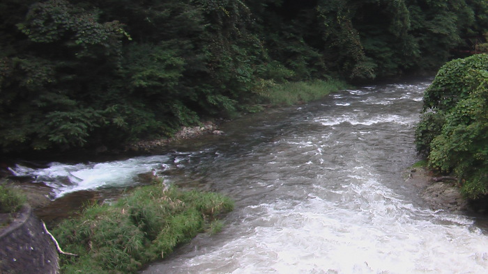 b0208961_1122539.jpg