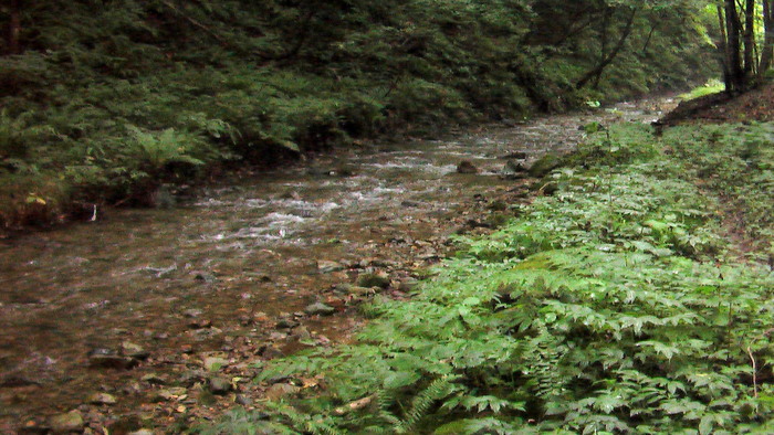 b0208961_1125219.jpg