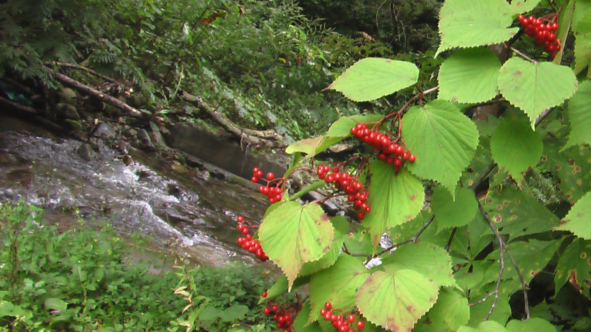 b0208961_1132847.jpg