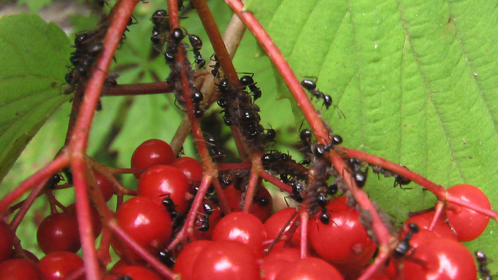 b0208961_1134719.jpg
