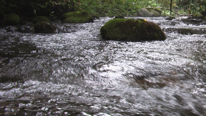b0208961_1332263.jpg
