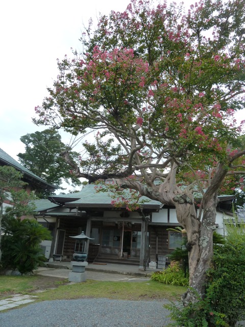 e0278968_0252452.jpg