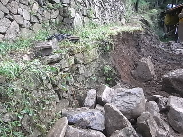 a0146070_554043.jpg