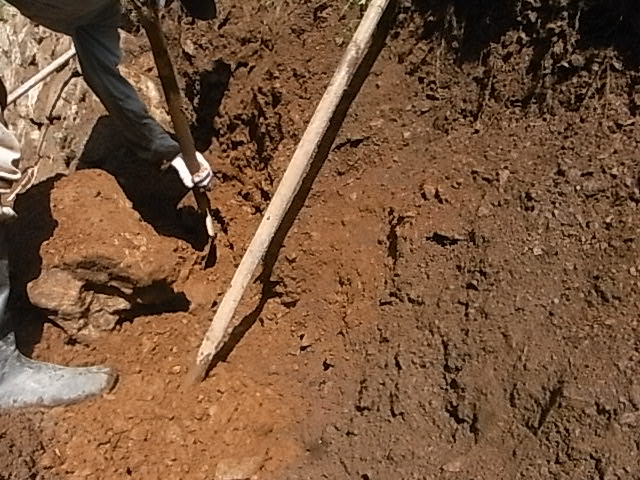 a0146070_5593460.jpg