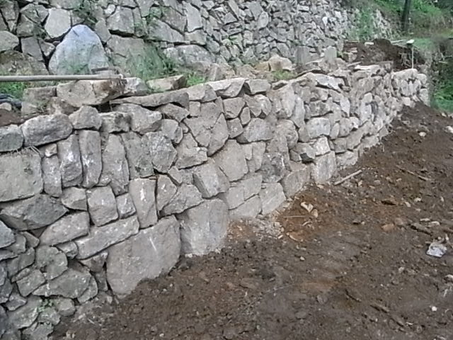 a0146070_611291.jpg