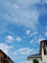 f0159480_23114983.jpg