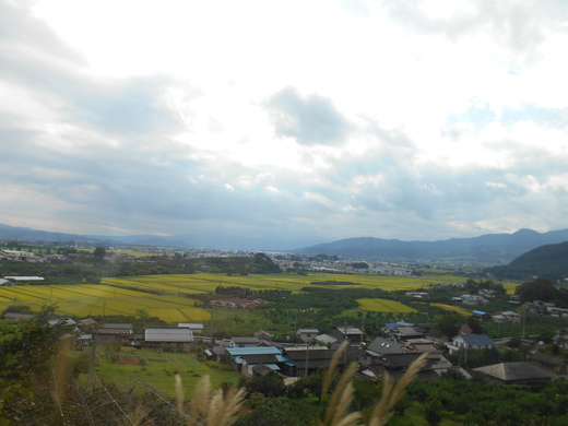 d0257690_21574543.jpg