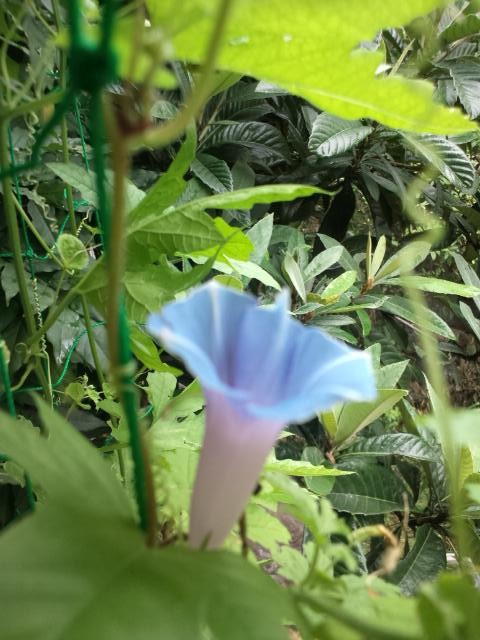 a0006092_2382190.jpg