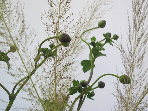 c0178009_23283421.jpg