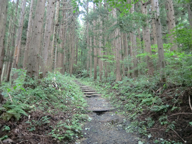 c0292312_21594883.jpg