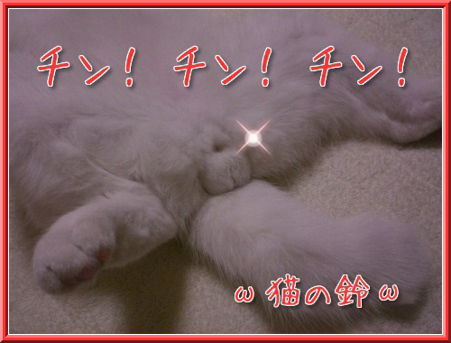 a0216818_5543537.png