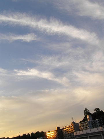 b0009118_232145.jpg