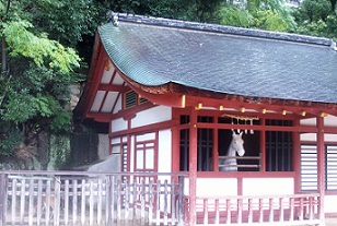 a0053420_1745587.jpg