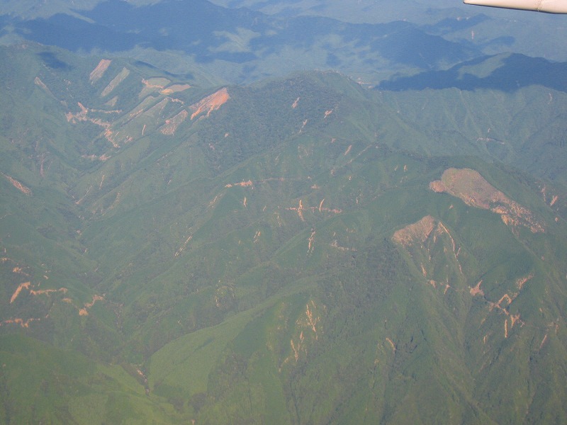 e0002820_6565271.jpg
