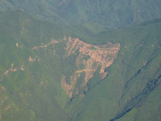 e0002820_6571536.jpg