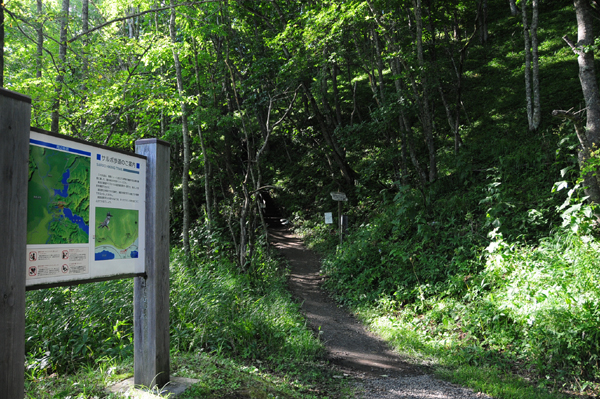 e0233220_21602.jpg