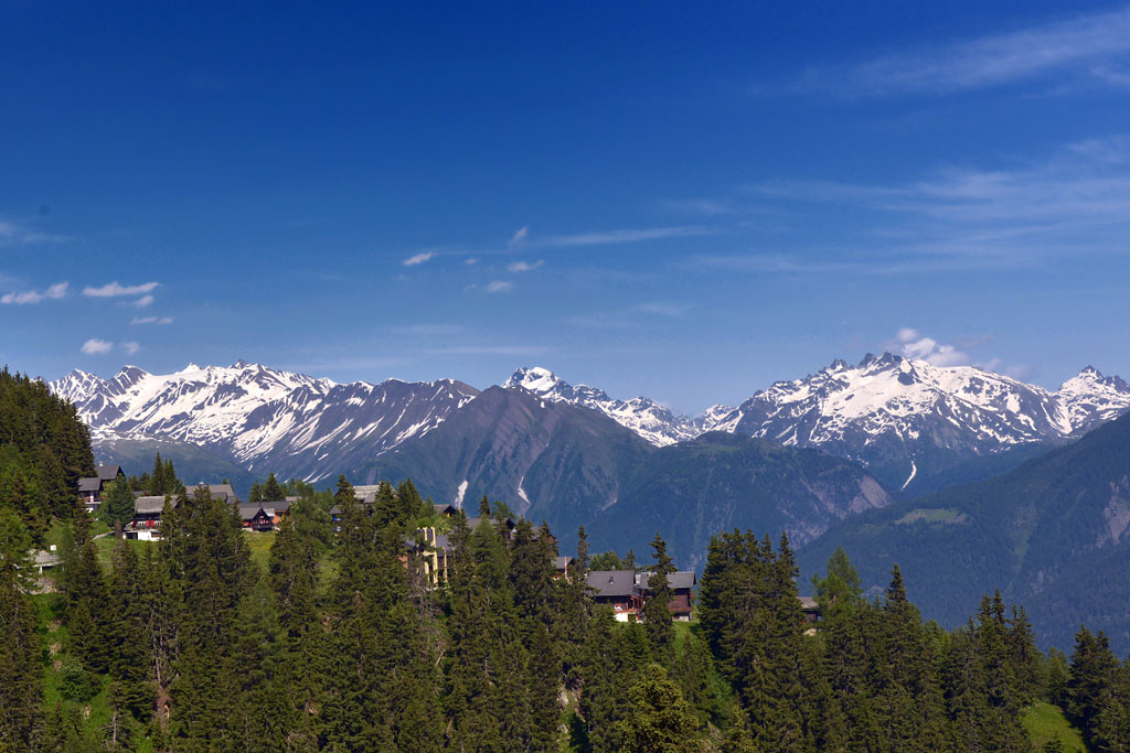 a0158226_21574421.jpg