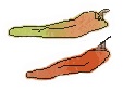 e0139730_1433532.jpg