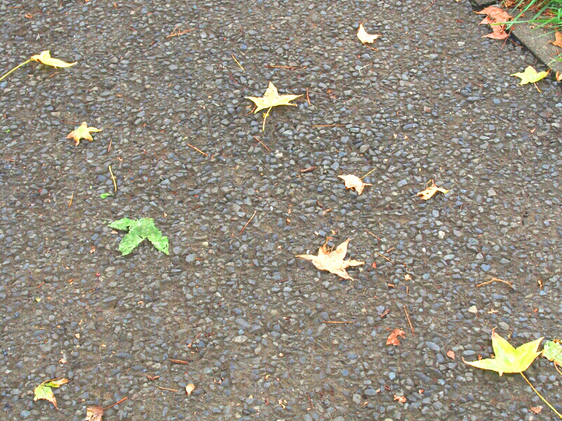 a0318033_12202440.jpg