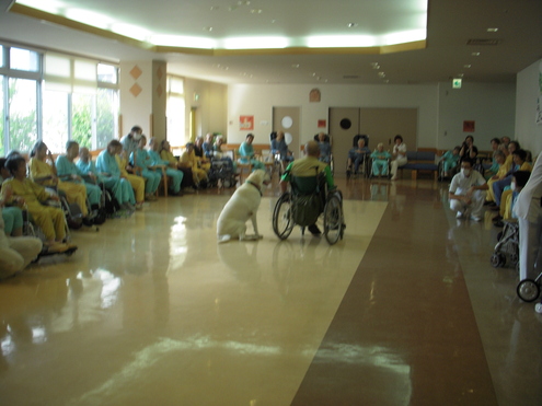 c0114833_10262712.jpg