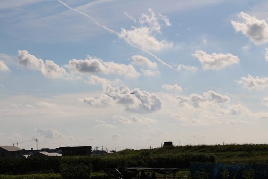 c0134734_0192276.jpg