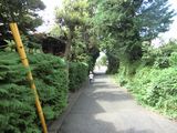 e0105846_10151316.jpg