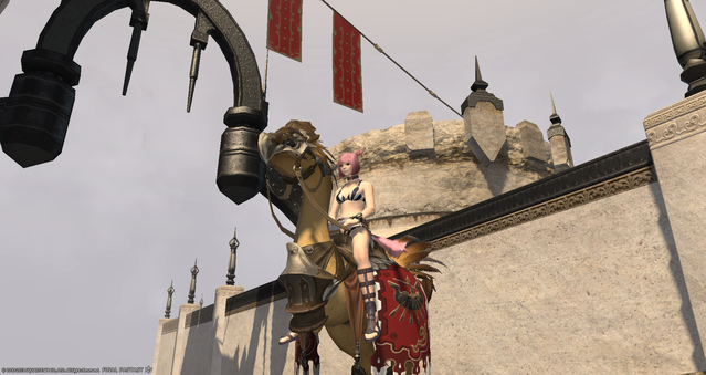 b0005152_4563799.png