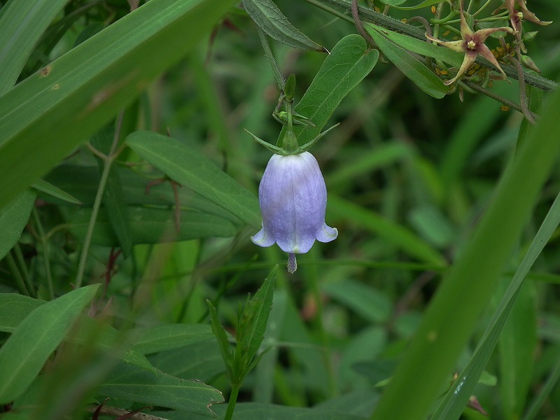 a0018655_20144711.jpg