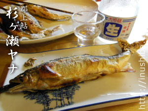 a0286855_834177.jpg