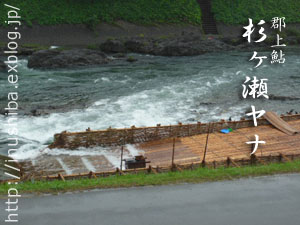 a0286855_834378.jpg
