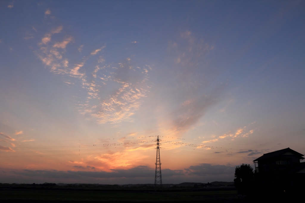 e0229455_011585.jpg