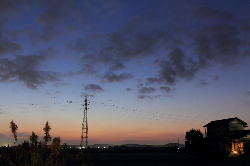 e0229455_0123110.jpg