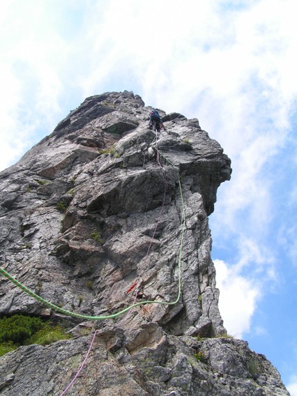 d0169556_8152091.jpg