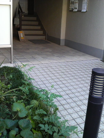 b0061261_19481644.png