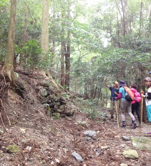 f0207669_919492.jpg