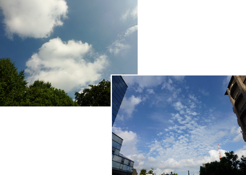 a0157174_20335568.png