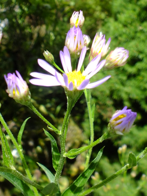 e0145782_202268.jpg