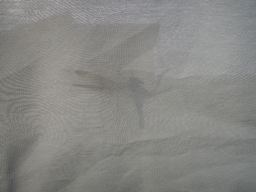 e0155085_19452546.jpg