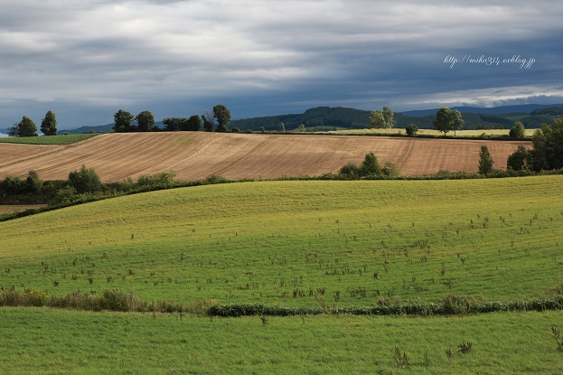 a0124689_16544530.jpg
