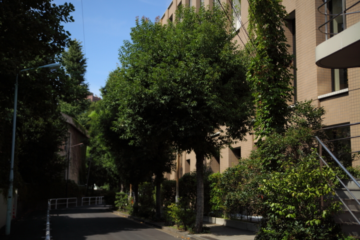 f0164989_1031969.jpg