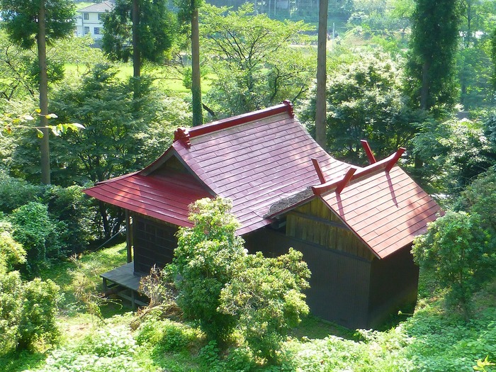 e0202393_2373418.jpg