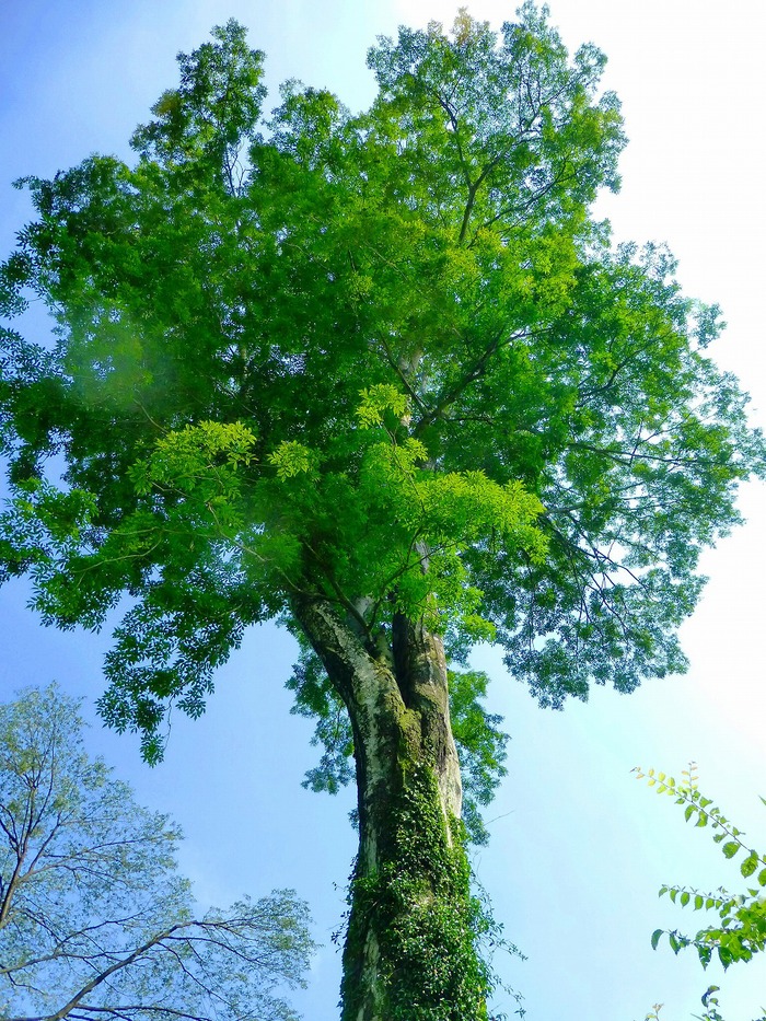 e0202393_2384169.jpg