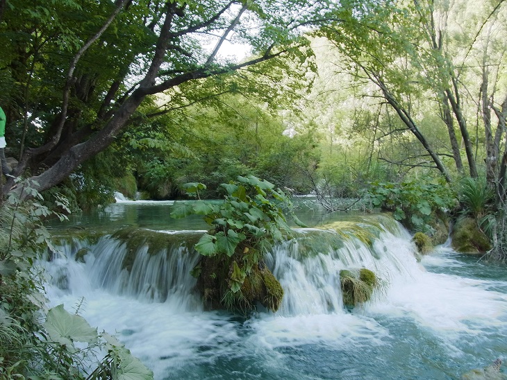 e0067595_21294813.jpg