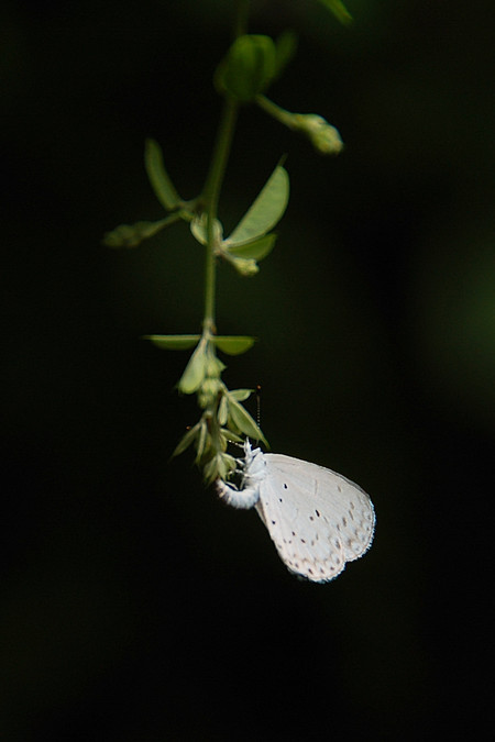 d0313296_91915100.jpg