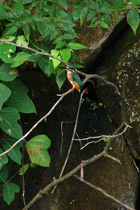 d0313296_946432.jpg