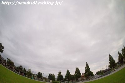 e0145805_17422015.jpg