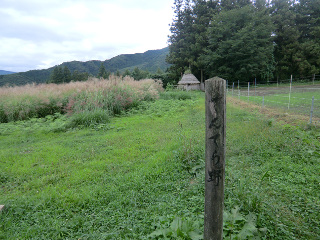 c0292312_21394526.jpg