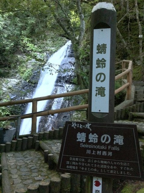 b0161715_23342644.jpg