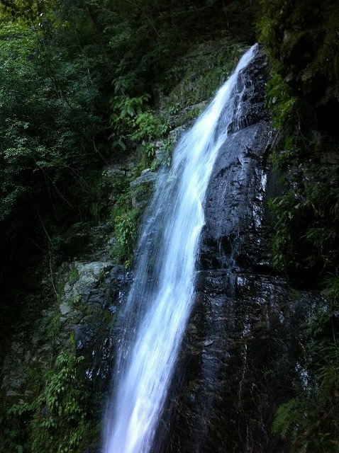 b0161715_233583.jpg